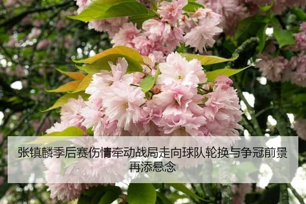 张镇麟季后赛伤情牵动战局走向球队轮换与争冠前景再添悬念